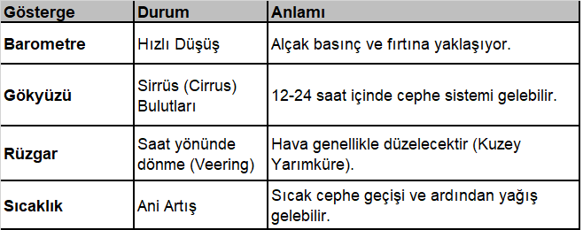 hava tahminleri özet tablo